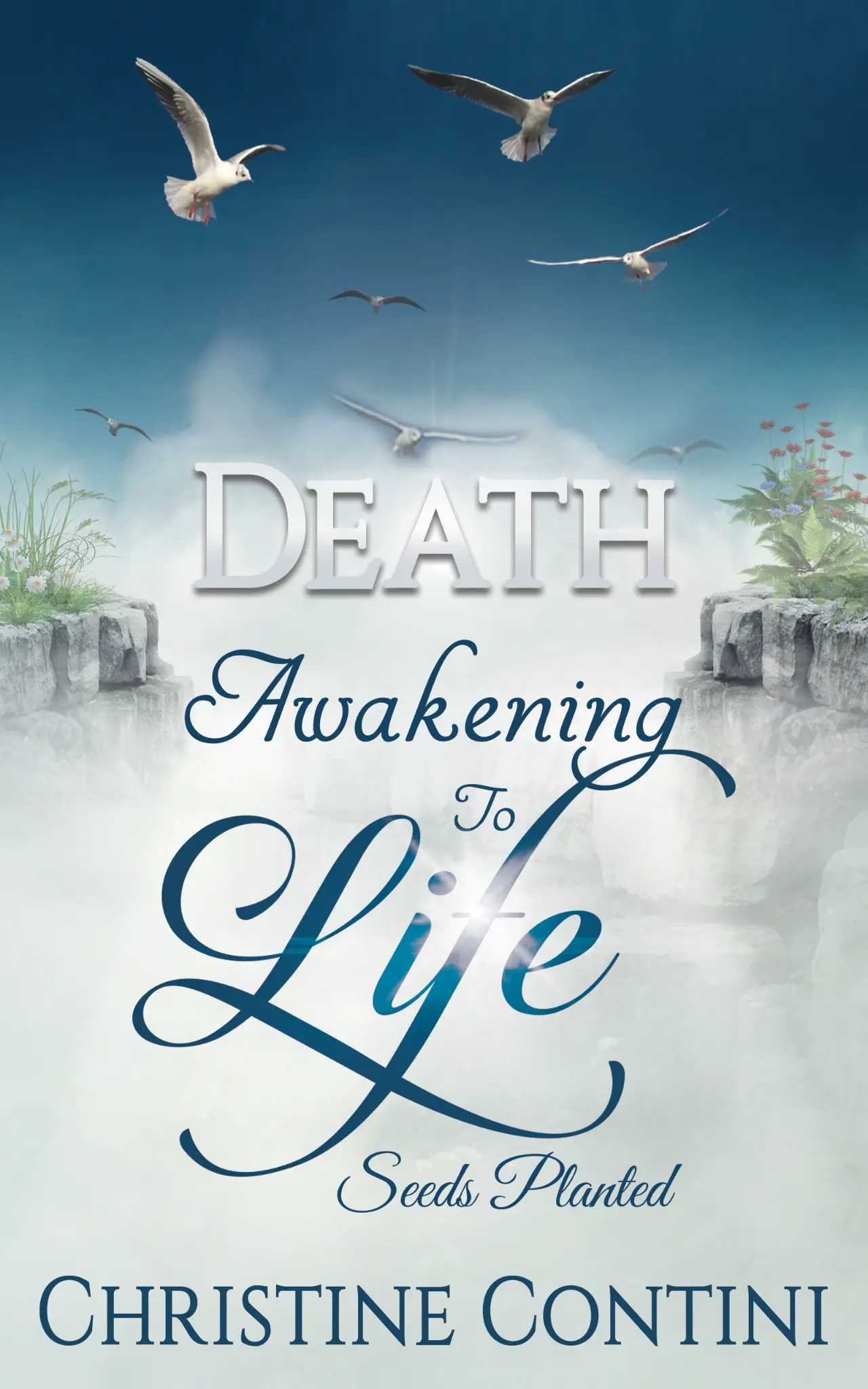 Death: Awakening to Life cover