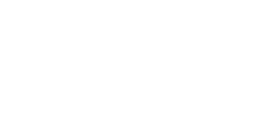 VibeHauss