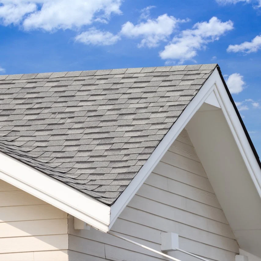 Shingle Roof
