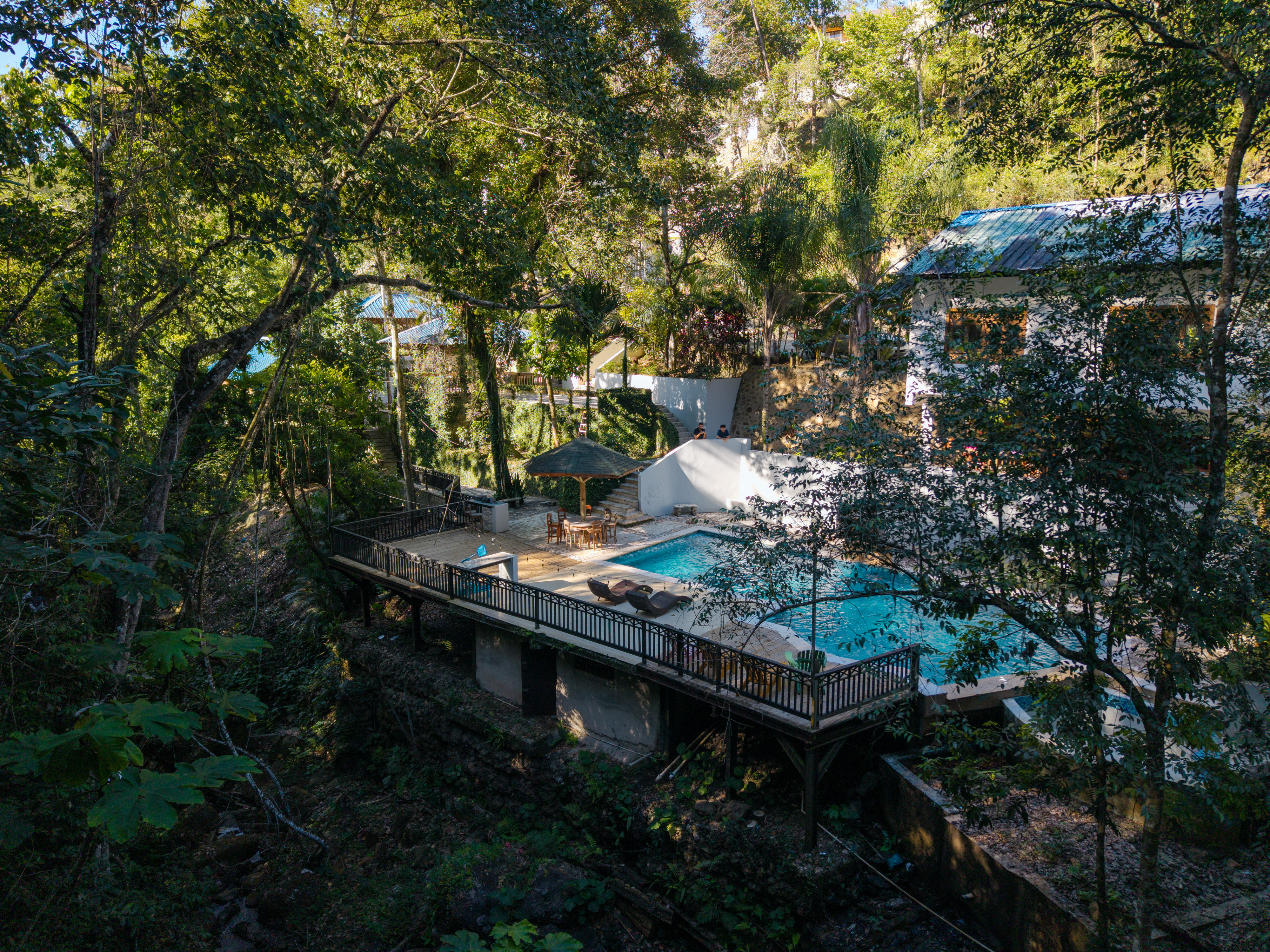 Creek and forest on the property