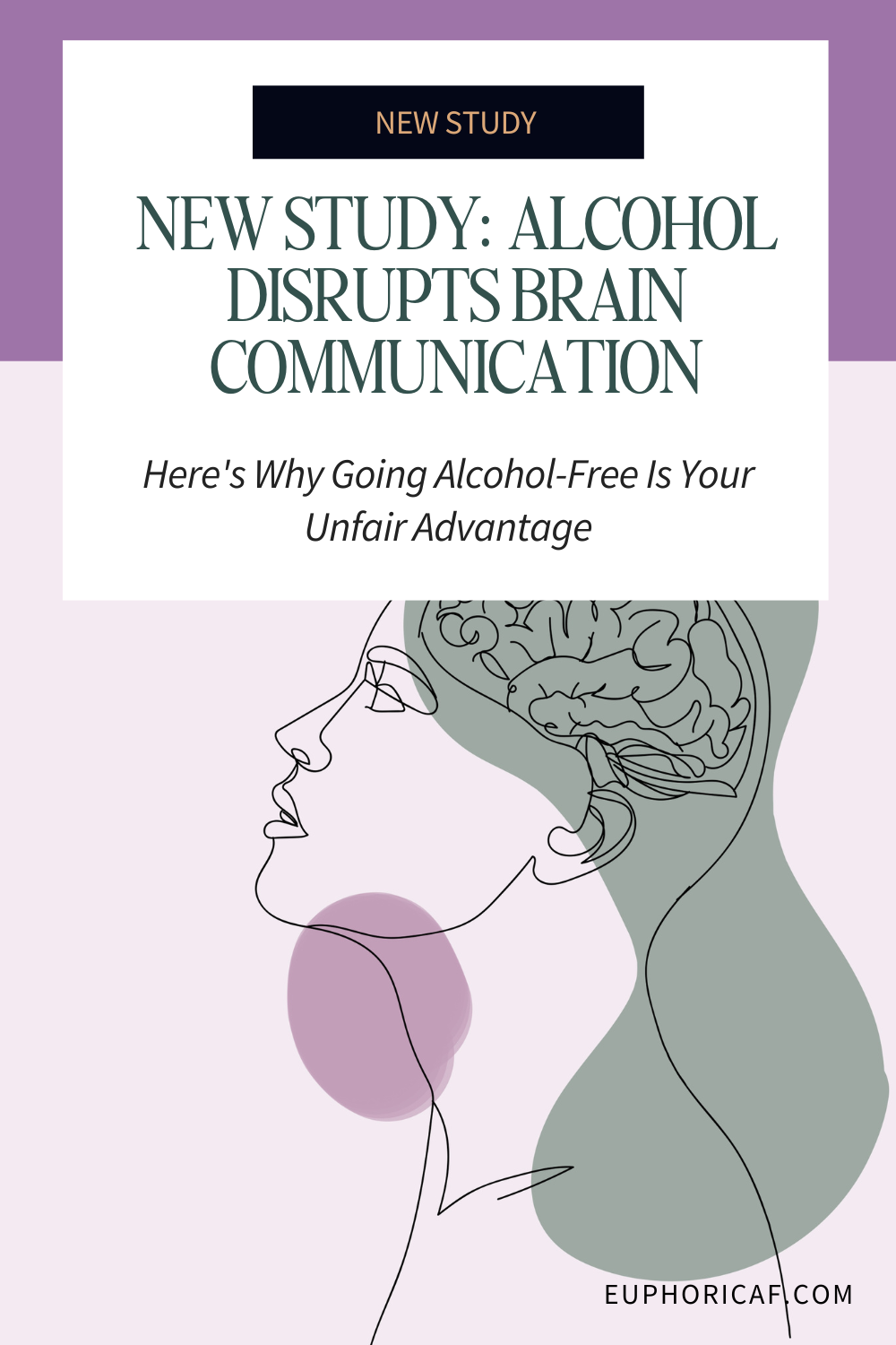 new study: alcohol disrupts brain communication new study: alcohol disrupts brain communication
