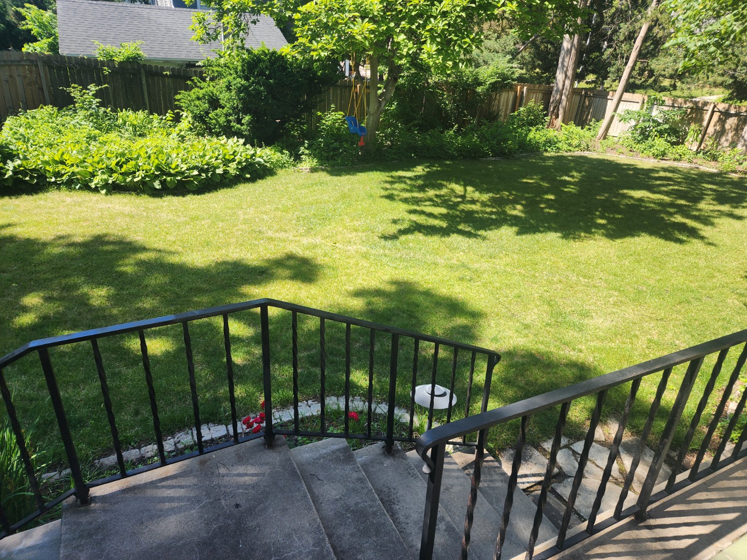 Clean backyard lawn in Lincoln Nebraska where dogs can play after regular dog waste removal