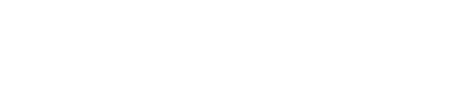 1KING, King of Functional Training