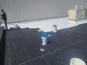 {{ custom_values.service_3 }} in {{custom_values.area_3})