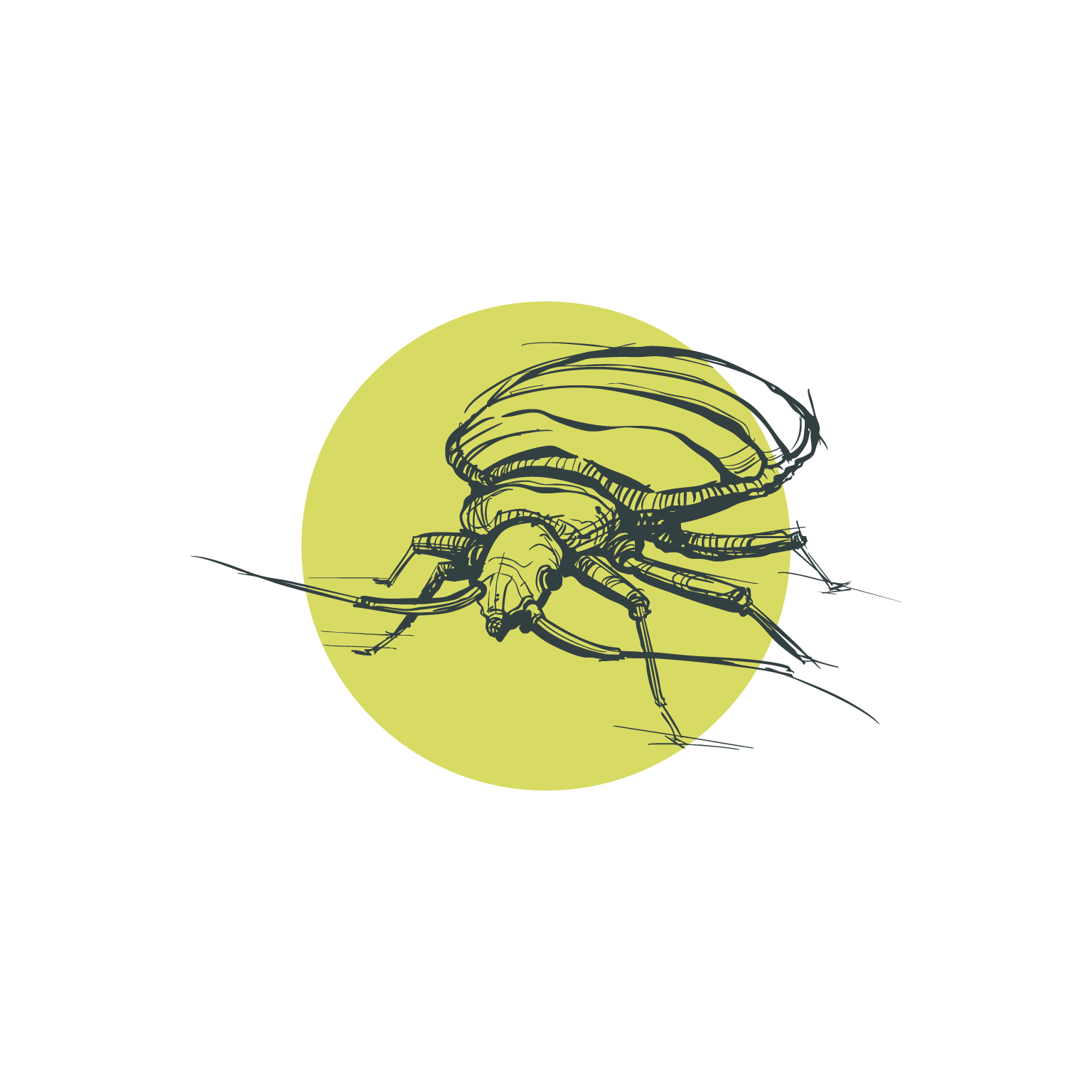 Bed bug exterminator