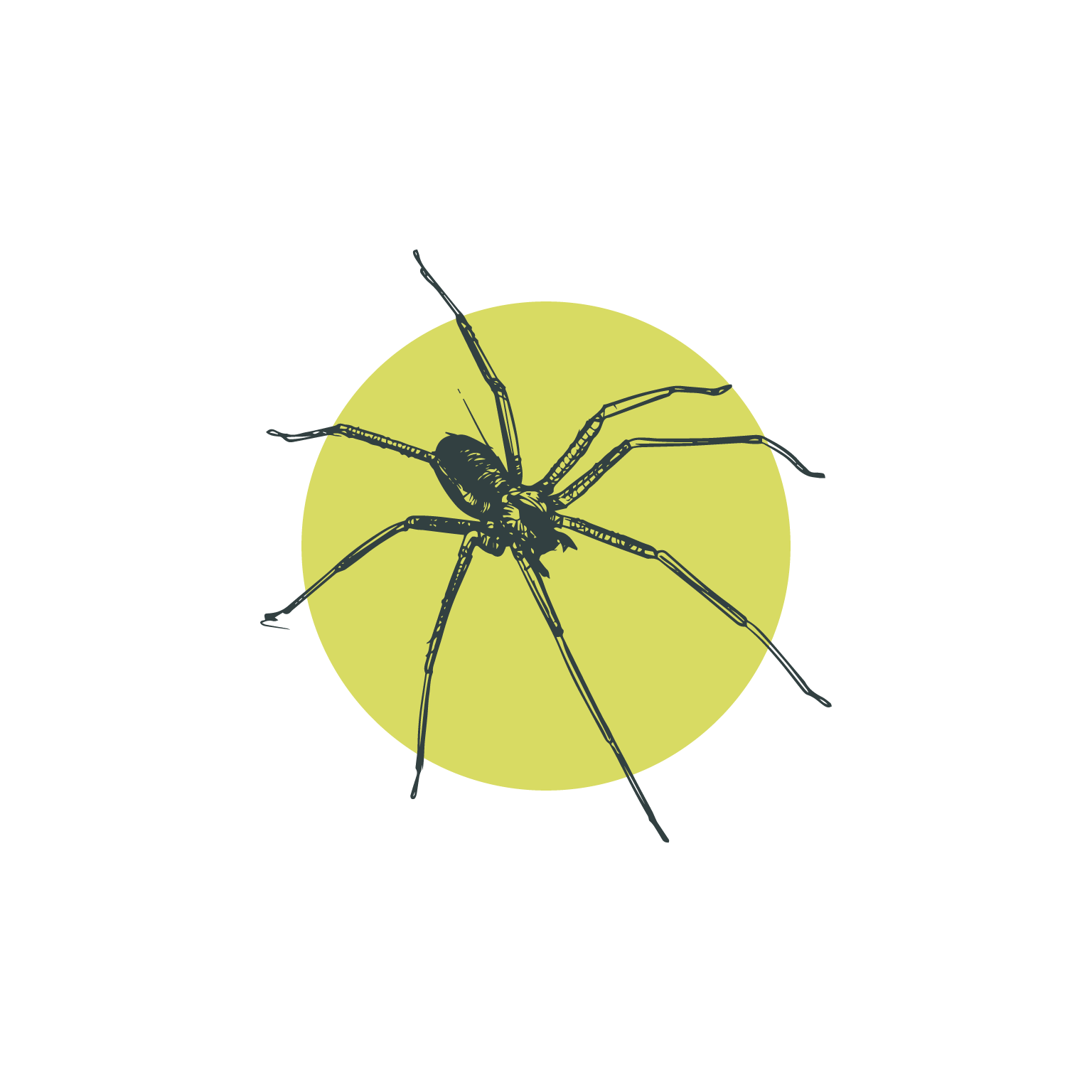 Spider exterminator