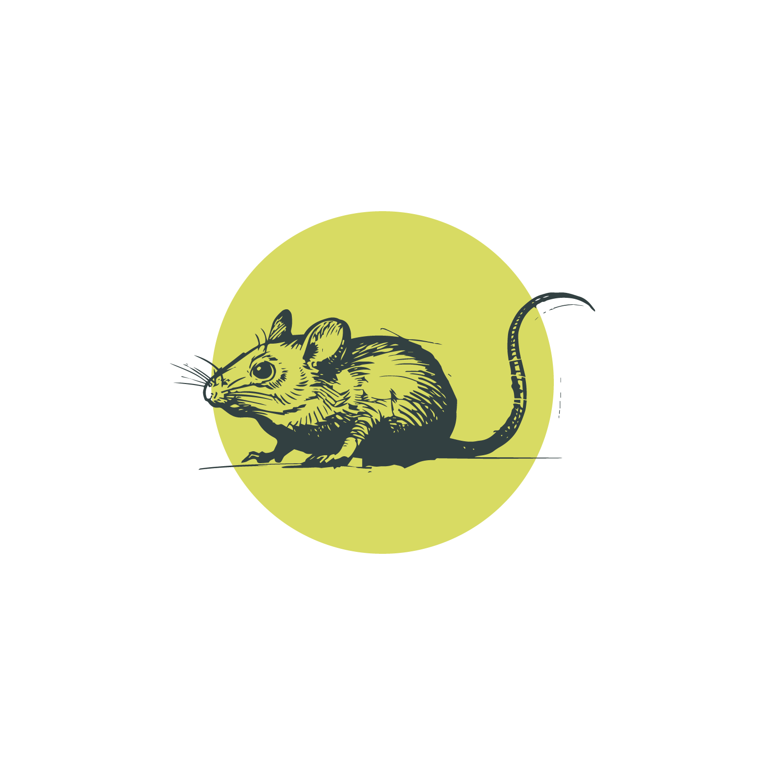 Rodent Pest Control