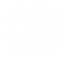 IRS Icon