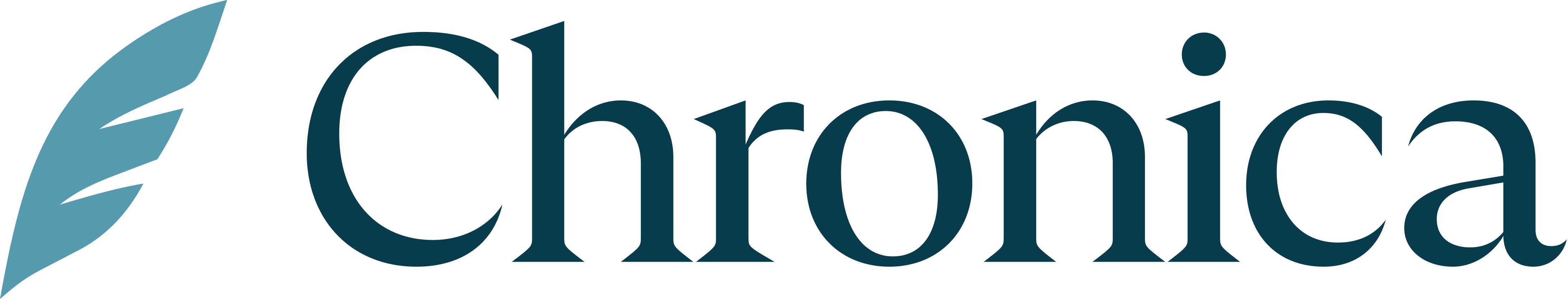 Brand Logo