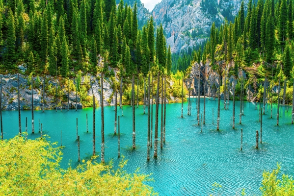 Lago Kaindy en Kazajistán con troncos de árboles emergiendo del agua turquesa