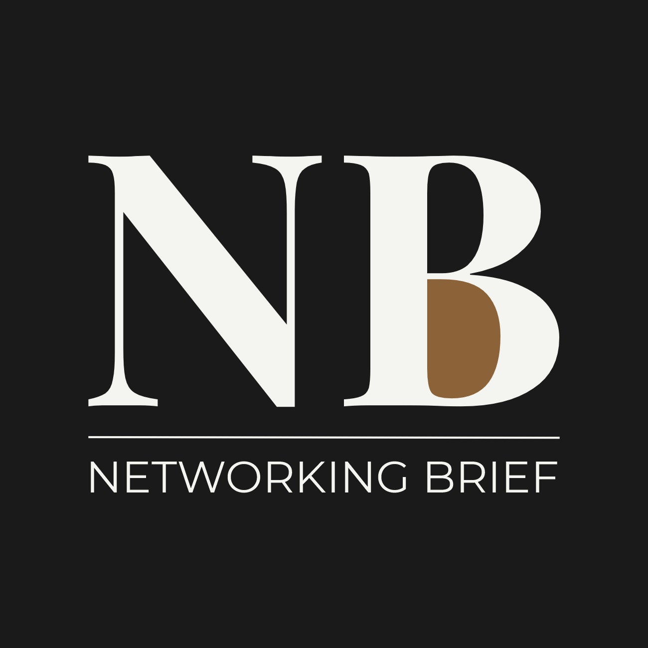 Networking Brief, Programme Partner