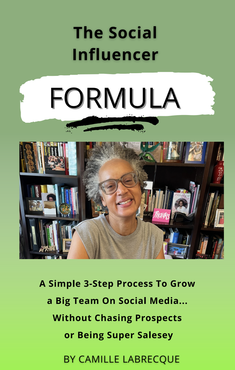 Social Influencer Formula by Camille LaBrecque
