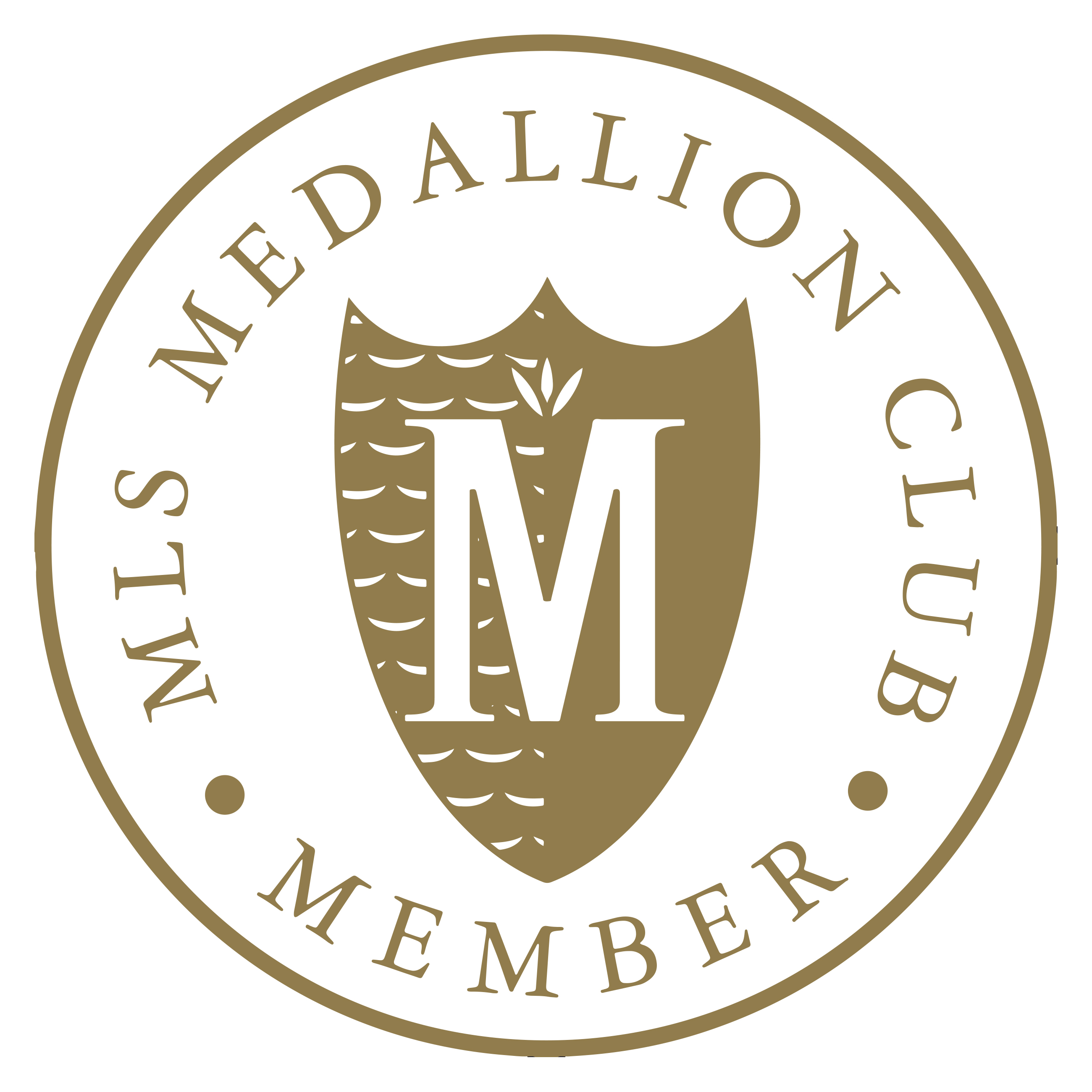 MLS professional medallion