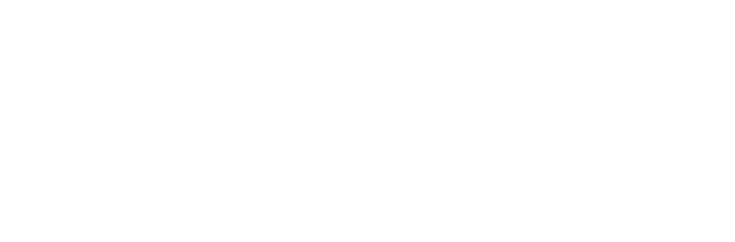 befreelance roadmap