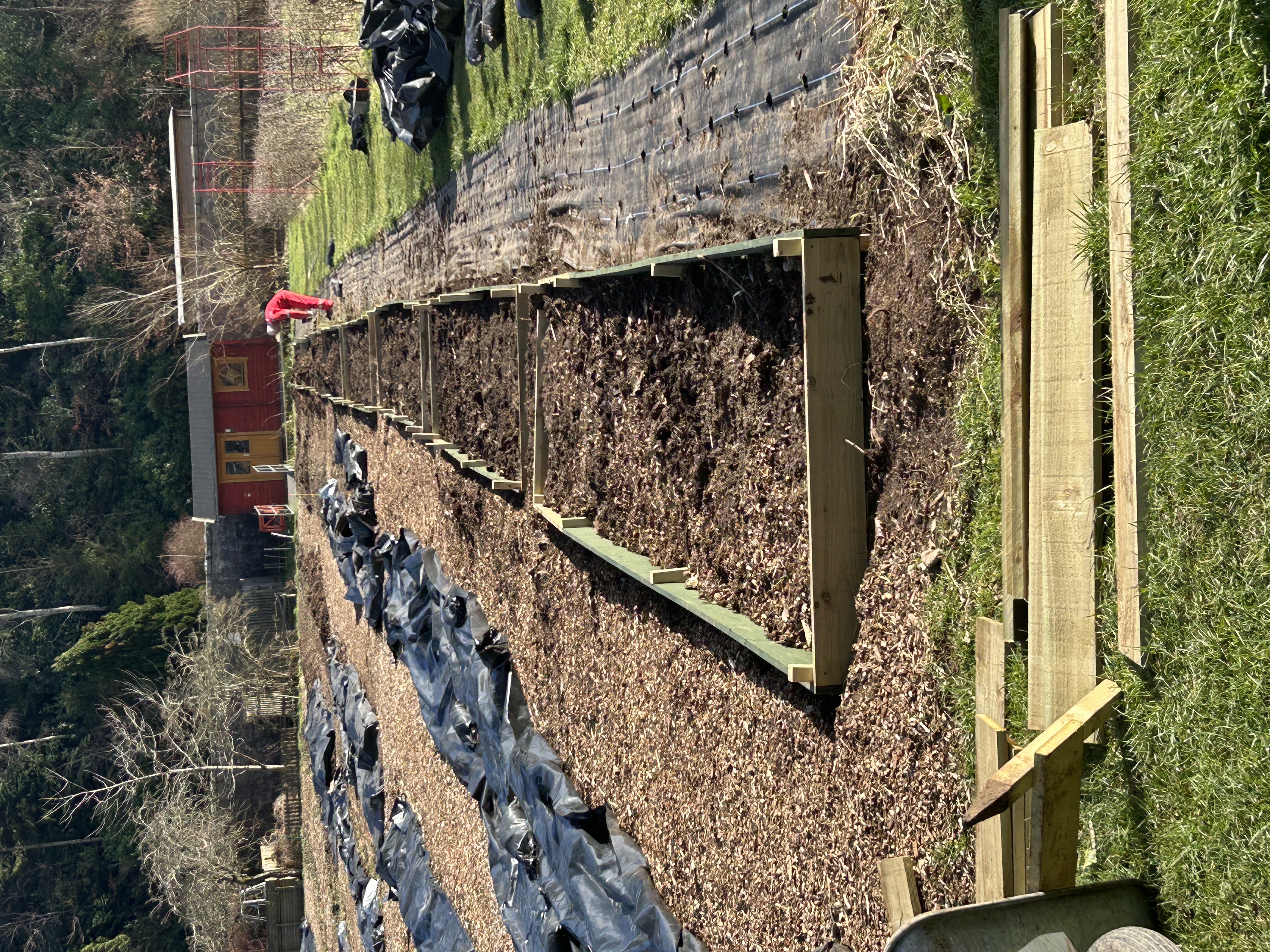 Garden beds Garden beds