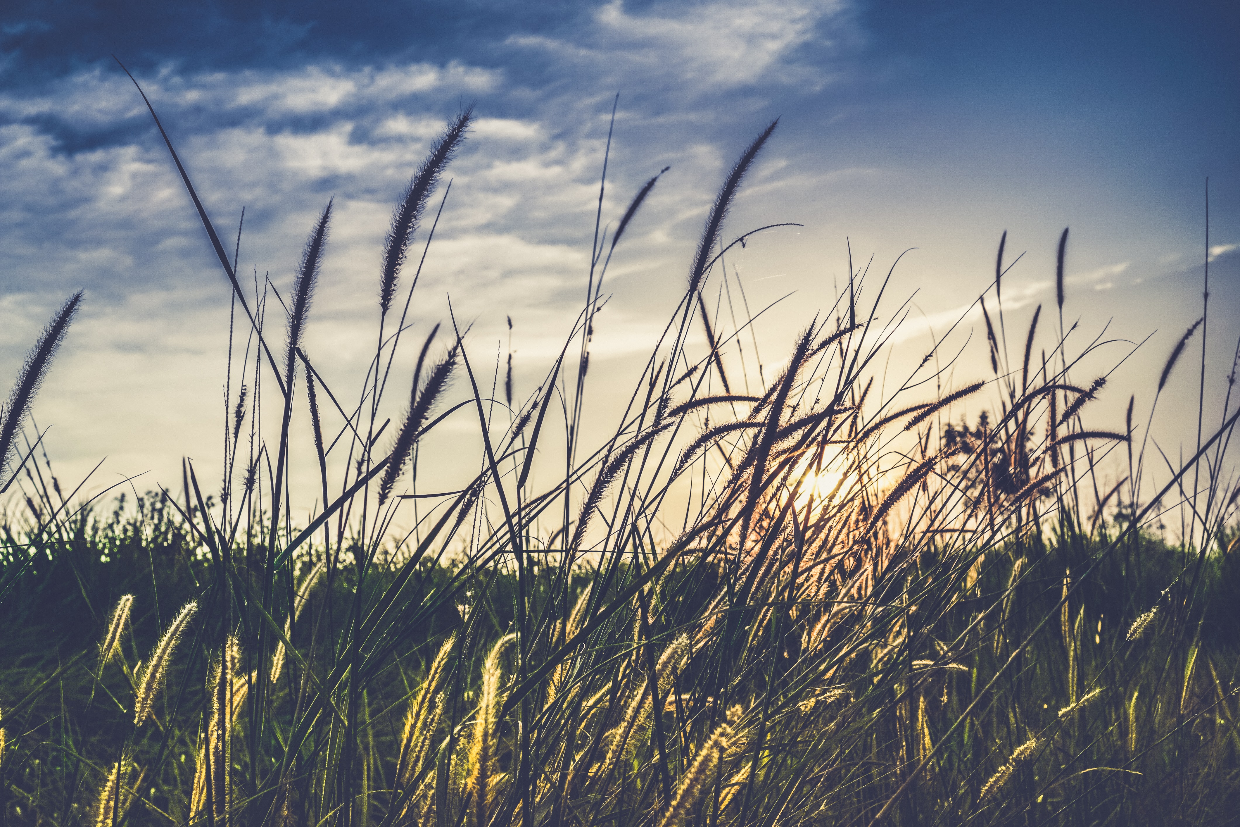 ADHD THERAPY VS. ADHD COACHING: WHICH ONE DO YOU ACTUALLY NEED?