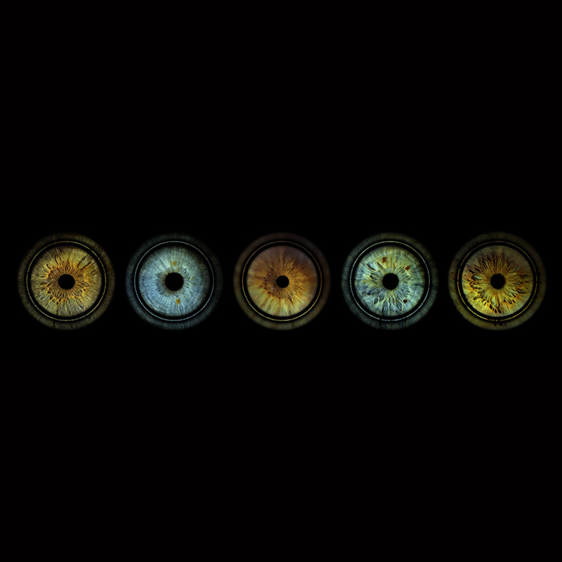 Rings Long