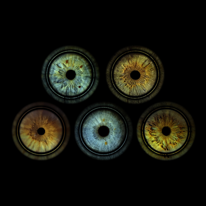 Rings Stacked