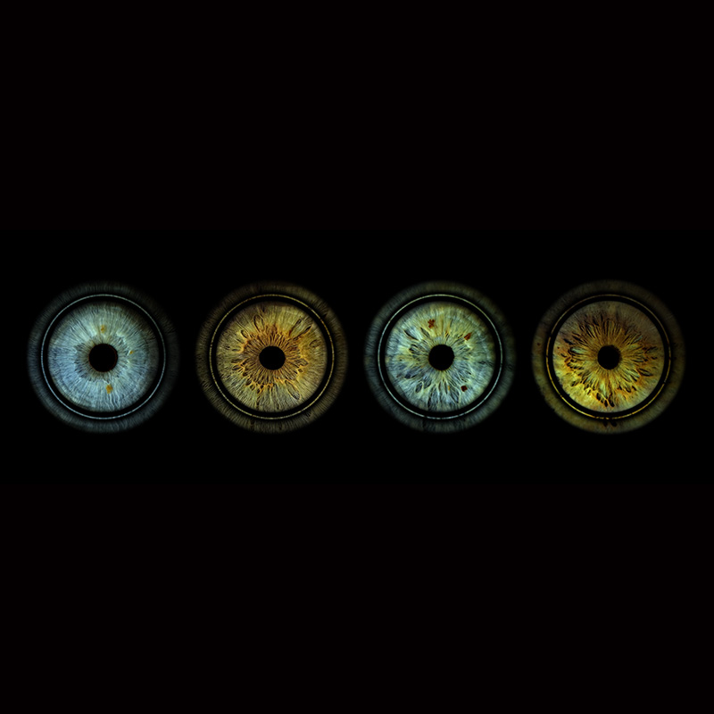 Rings Long