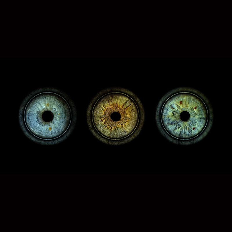 Rings Long