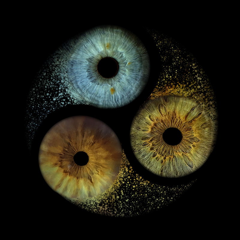 Ying-Yang