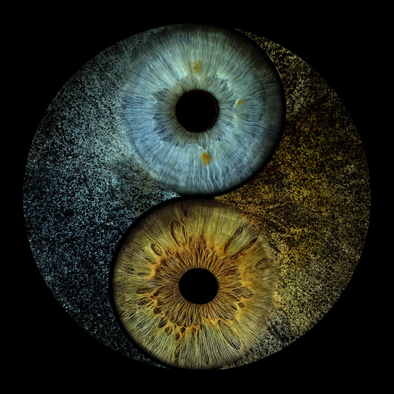 Ying-Yang