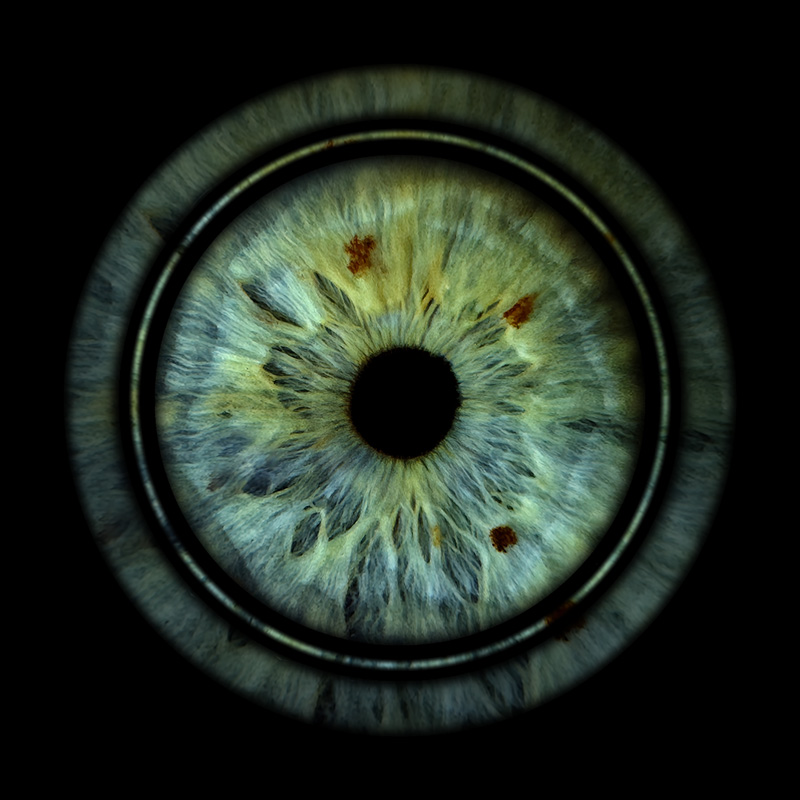 Ring effect