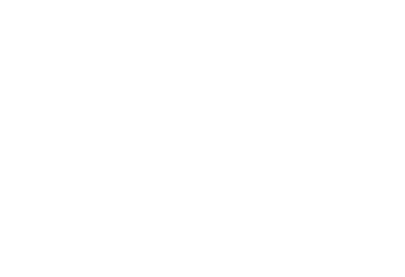Dra Pamela