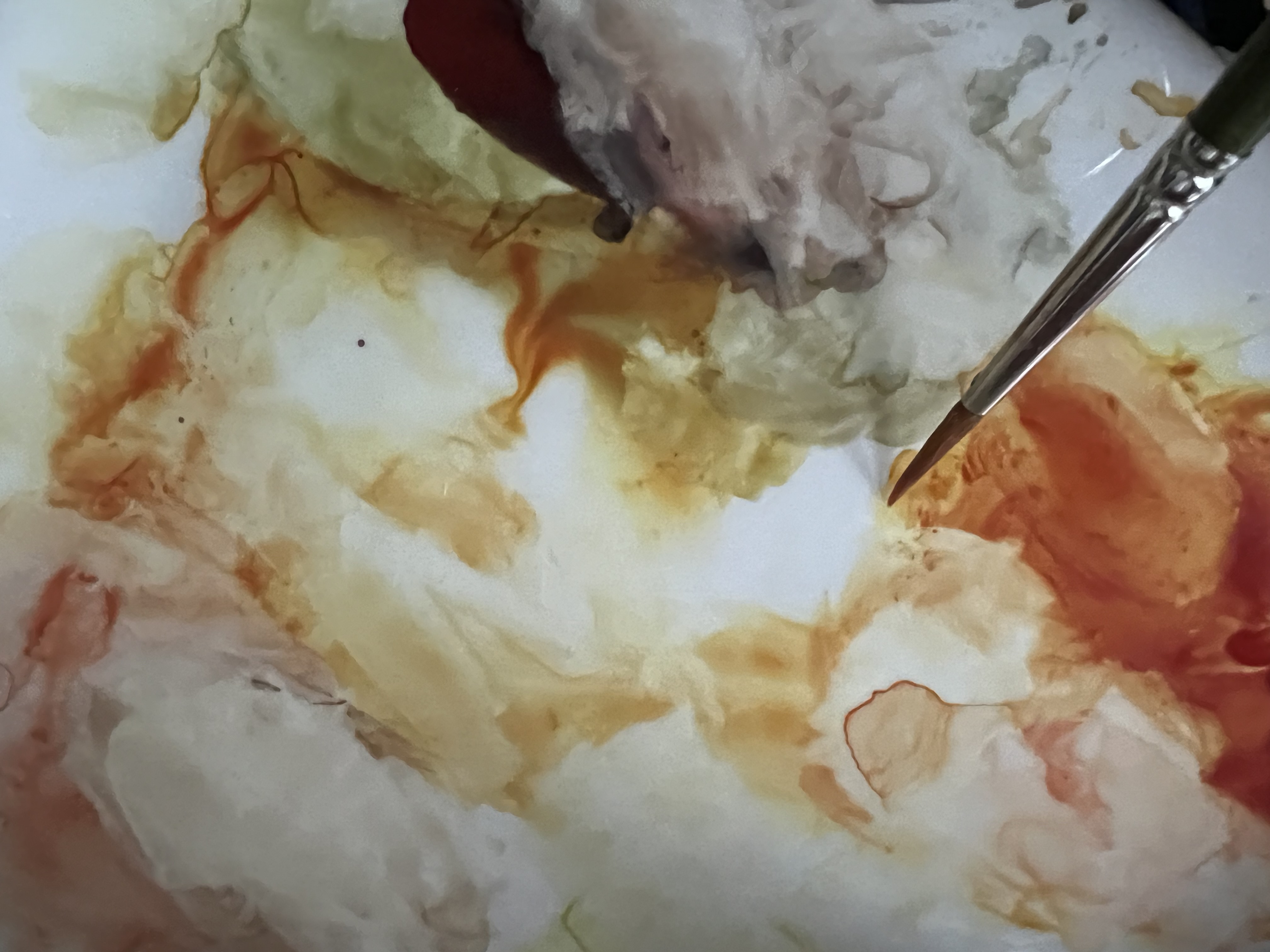 Watercolour washes being blended on paper during a botanical painting lesson