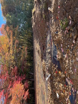 {{ custom_values.service_1 }} in {{custom_values.area_4})