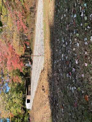 {{ custom_values.service_2 }} in {{custom_values.area_4})