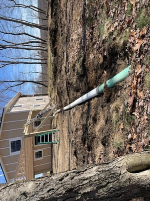 {{ custom_values.service_1 }} in {{custom_values.area_5})