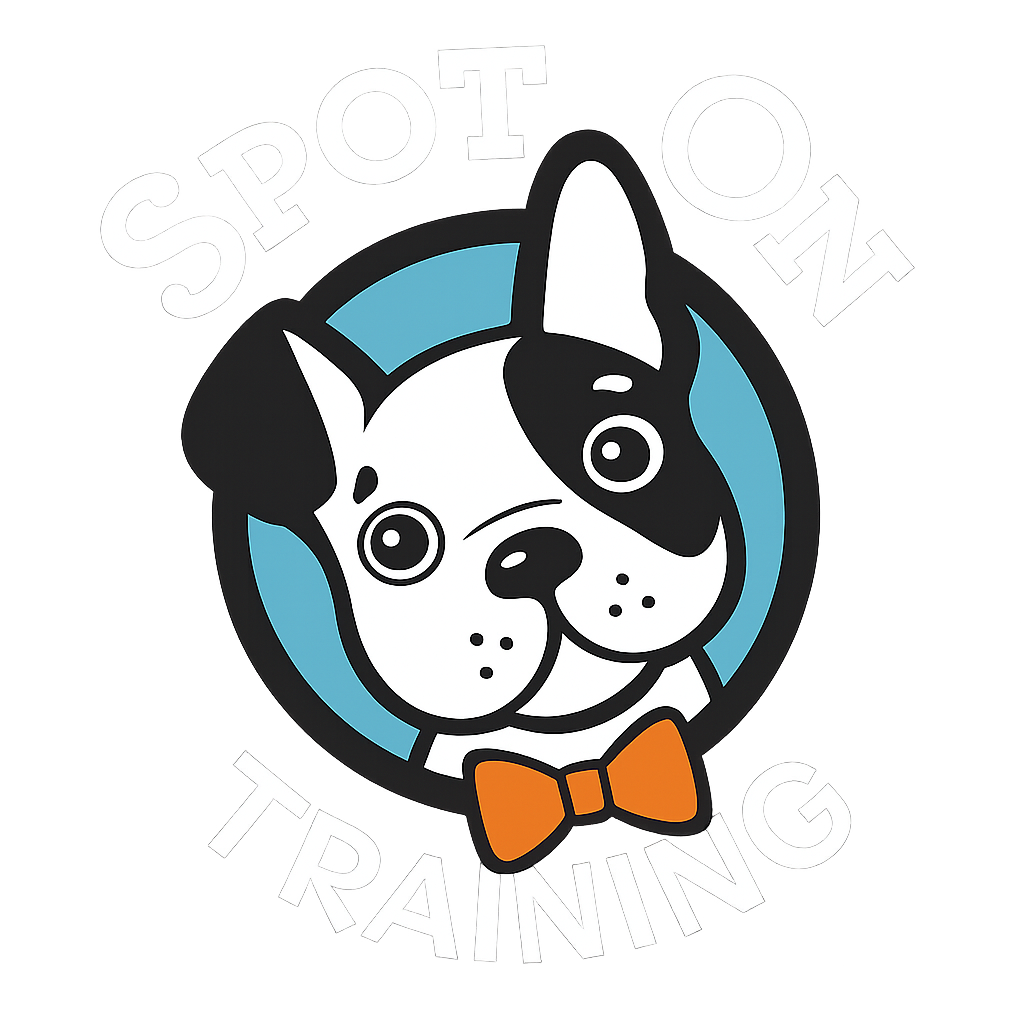 Spot On Training