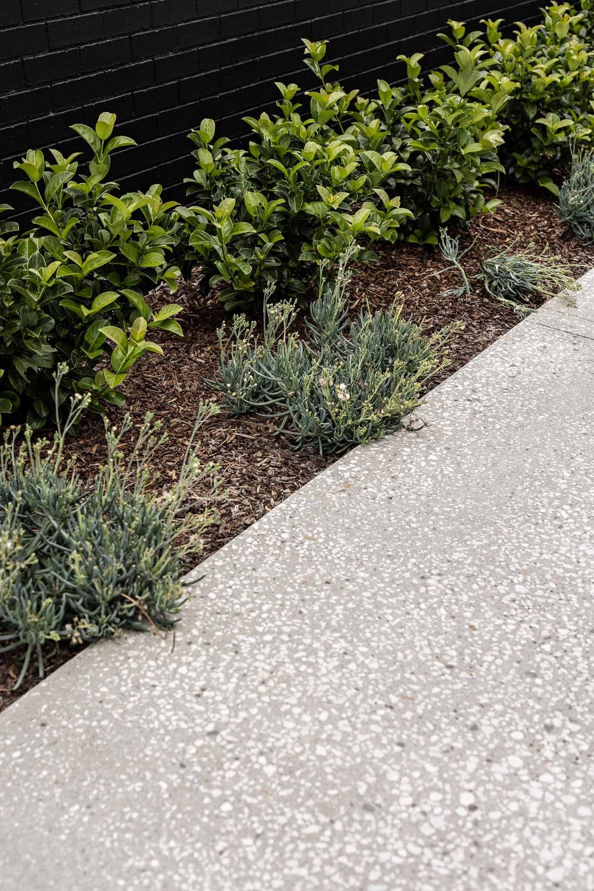 Trusted local waterproofing team delivering reliable workmanship every day