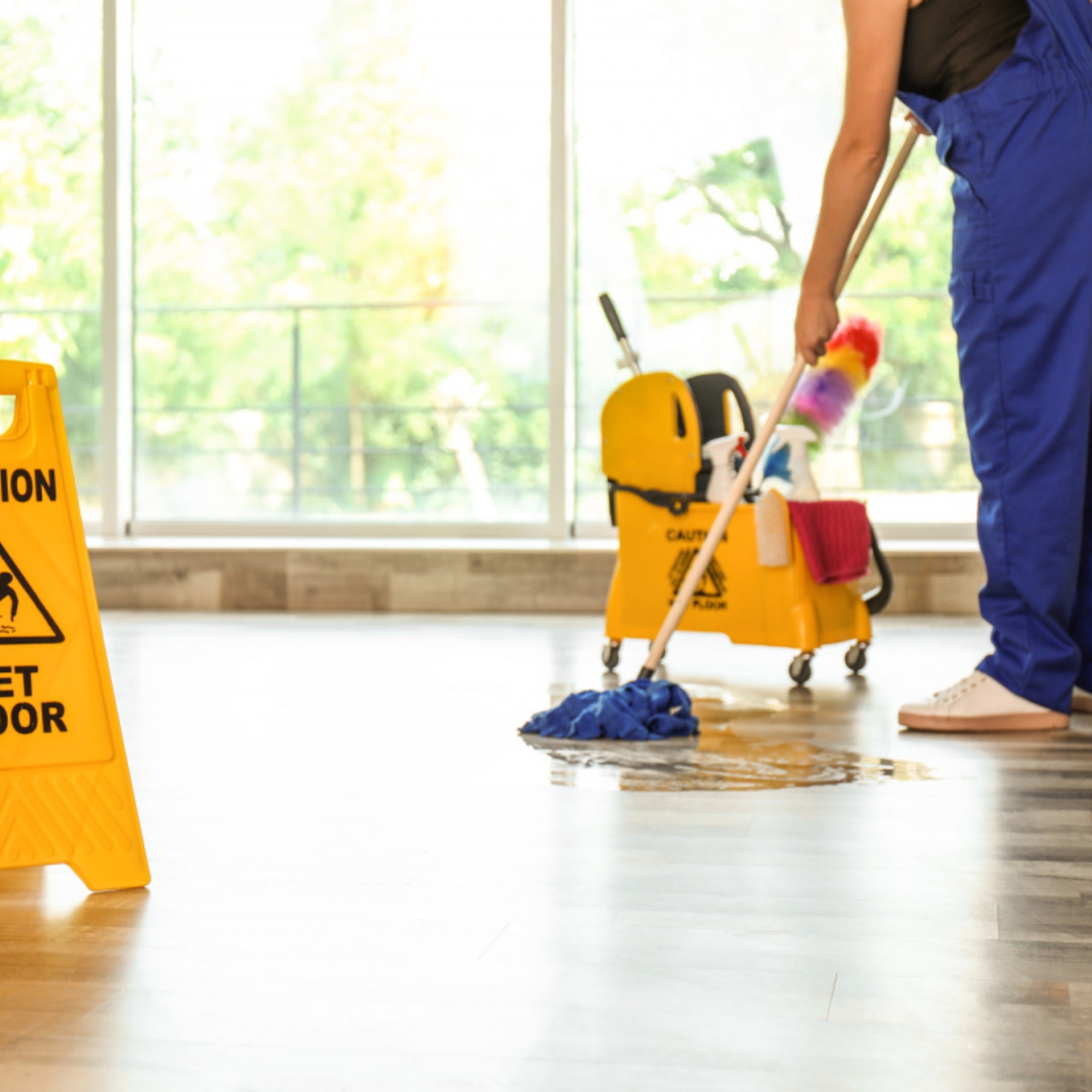 Professional commercial cleaning service by Pro Clean Services in Glenwood Springs