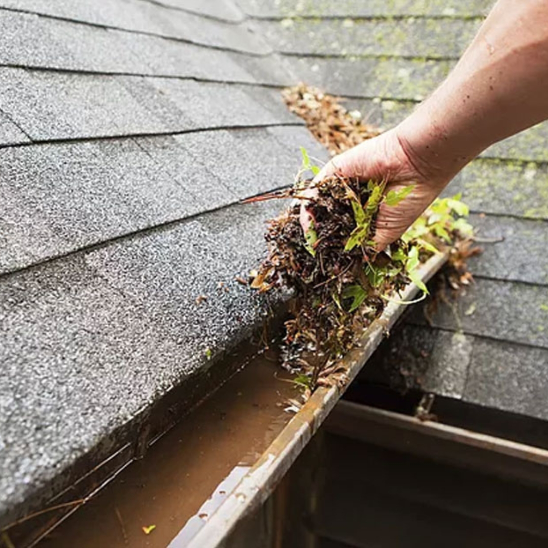Professional Gutter cleaning service by Pro Clean Services in Aspen