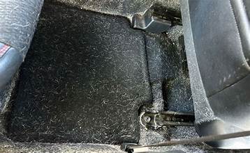 Plant City, FL Exterior Detailing Service