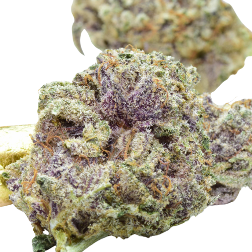 Premium Purple Kush THCA Flower