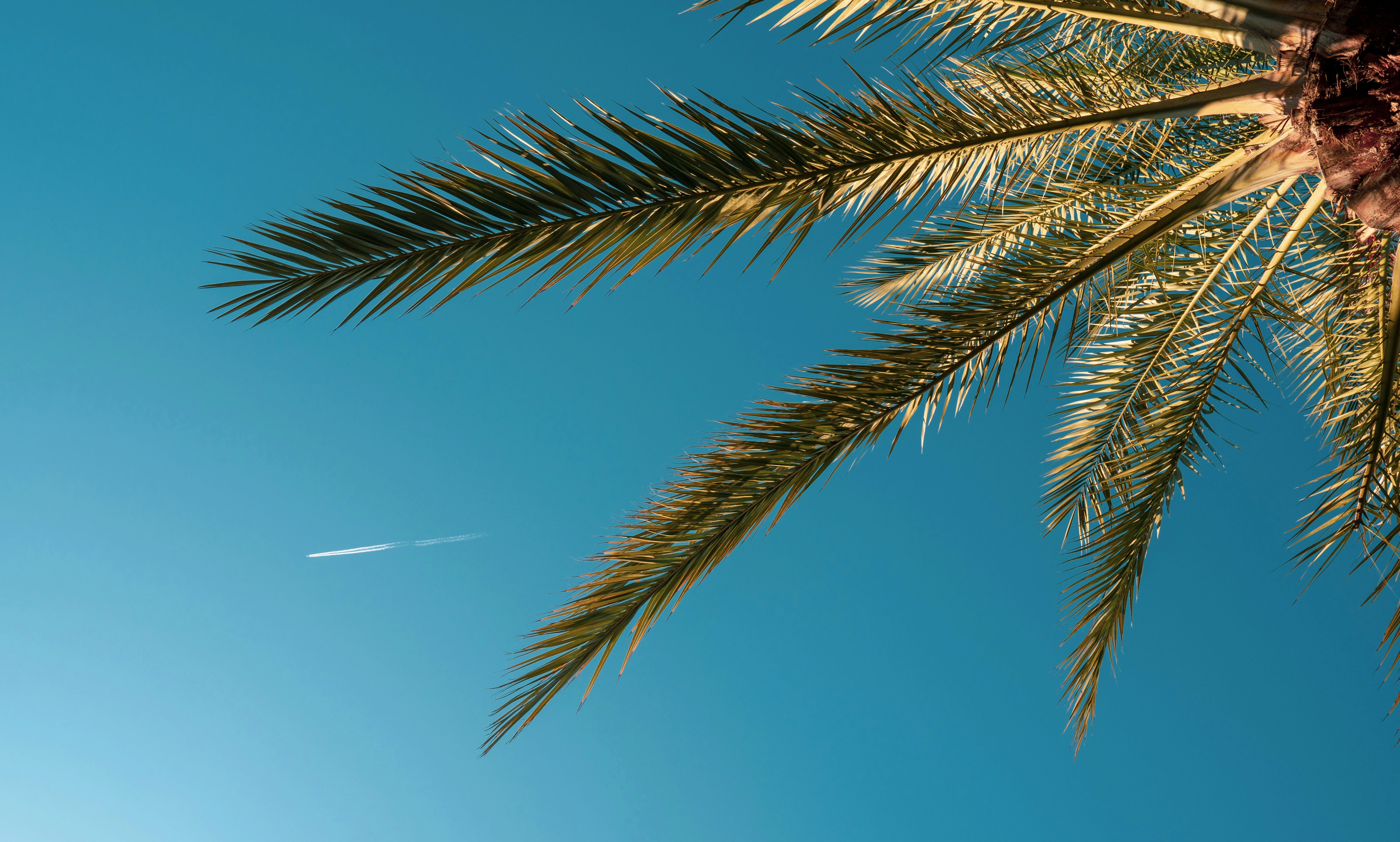 La Cala de Mijas, Costa del Sol