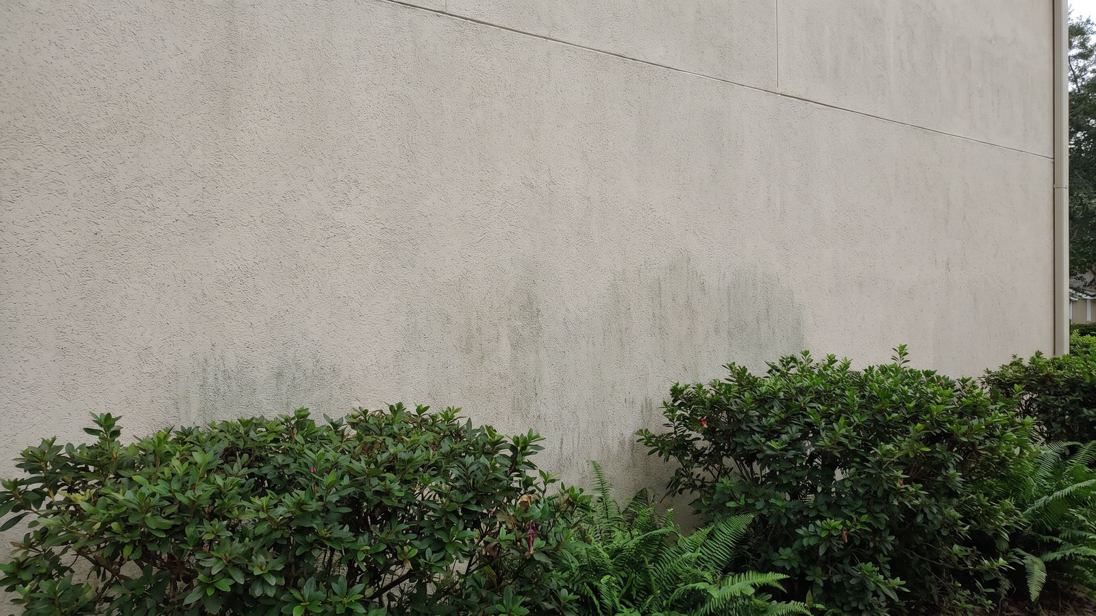 North-facing stucco wall with mildew on a Shearwater, St. Johns FL home before house washing