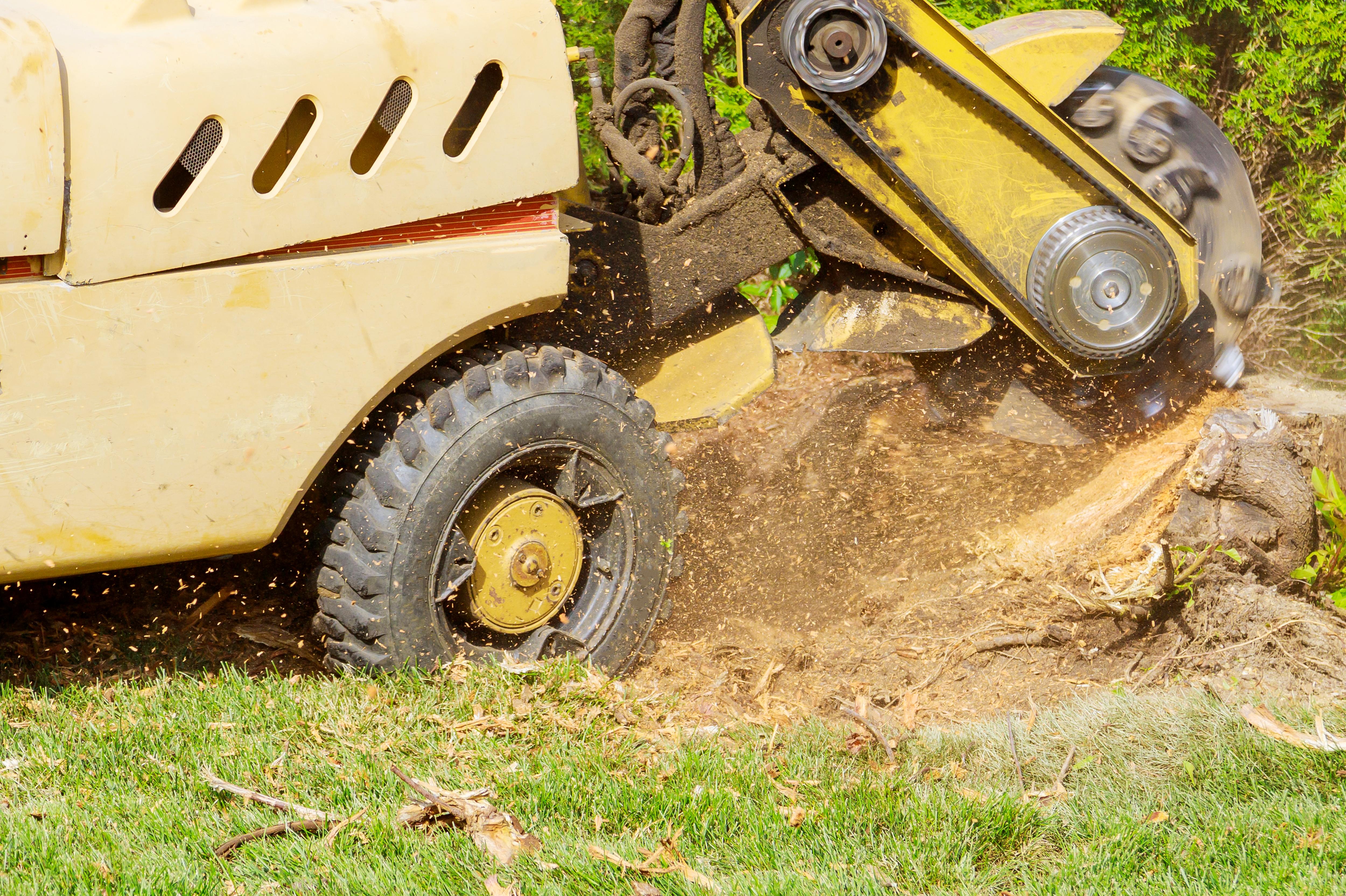 Stump Grinding