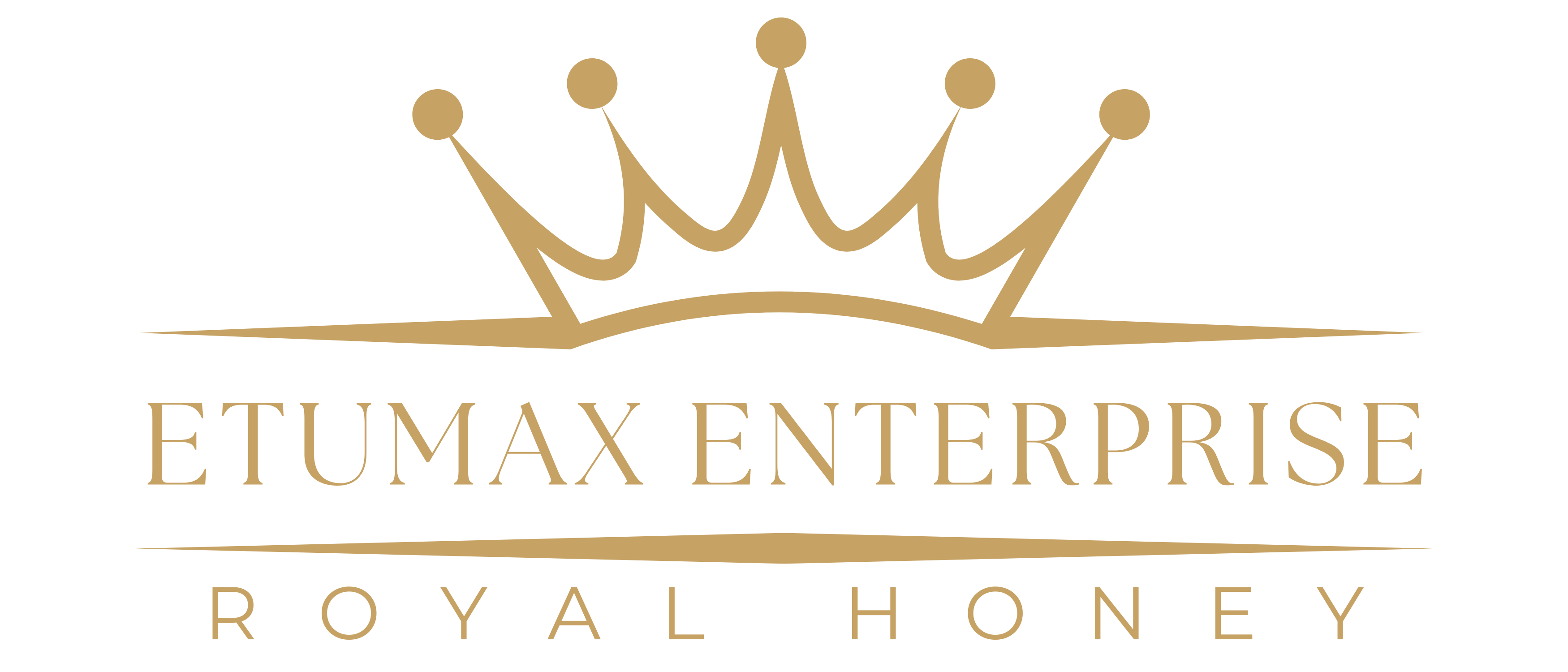 etumax_enterprise_logo