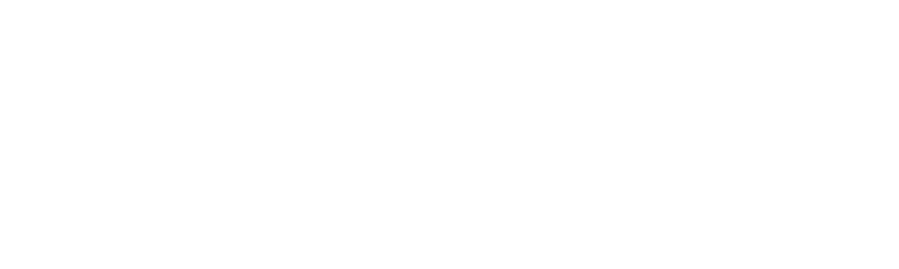 MZ Tax Solutions