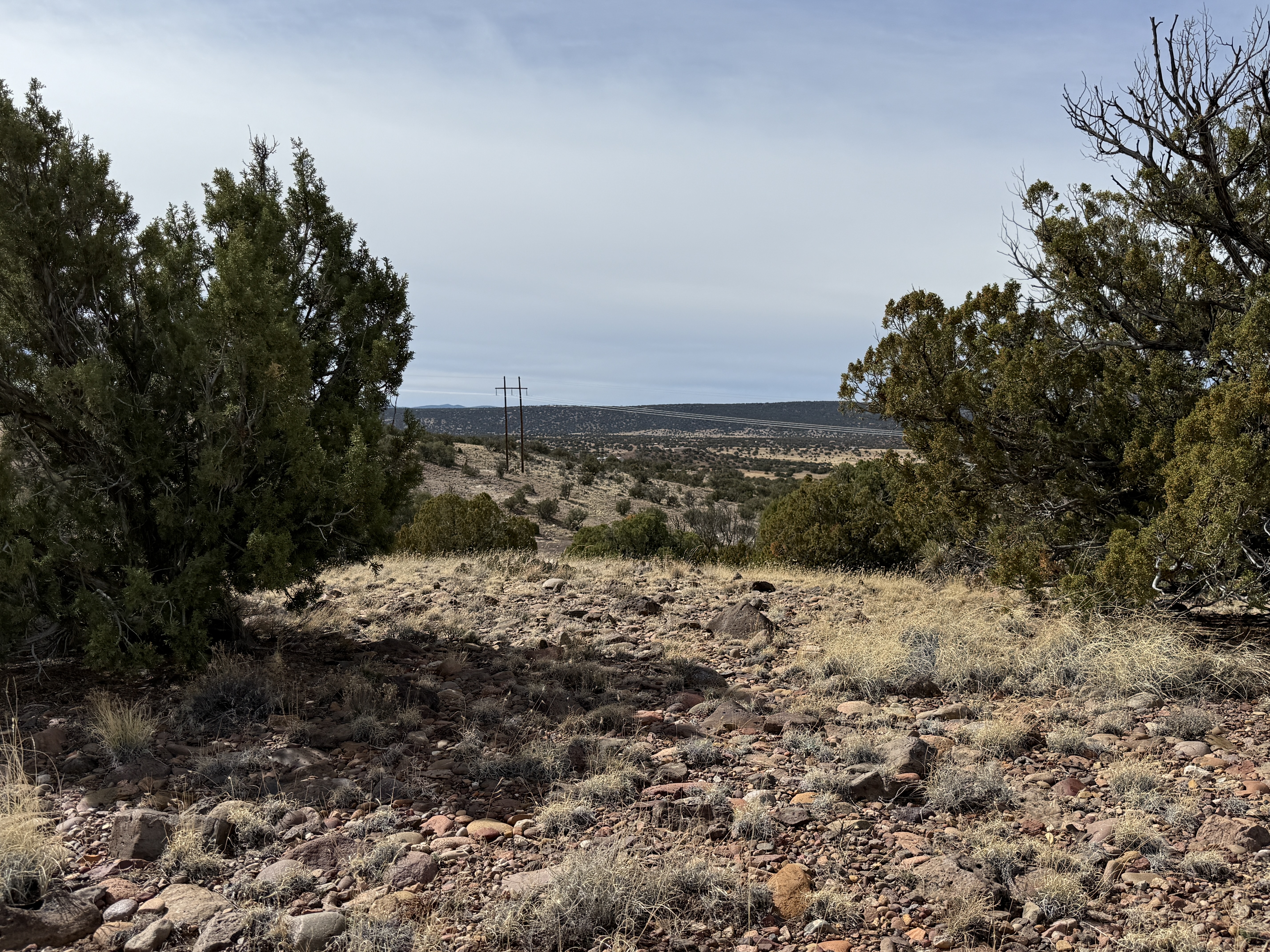 Open raw land with big sky and natural terrain