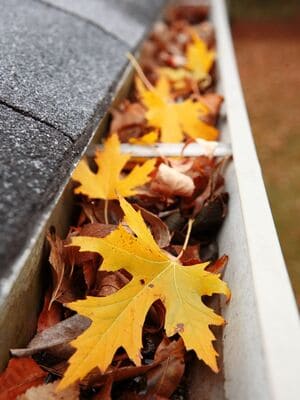 Gutter Cleaning in Chattanooga