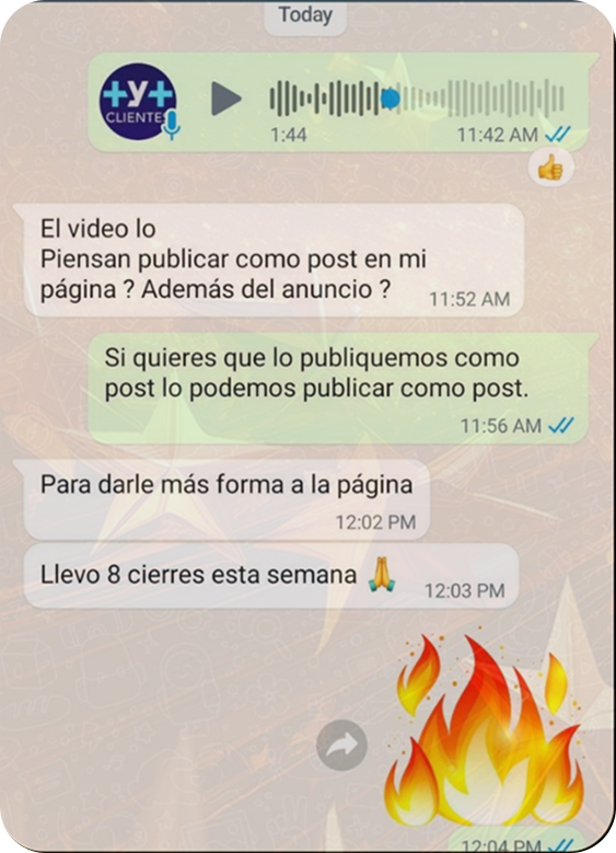Reseña 3
