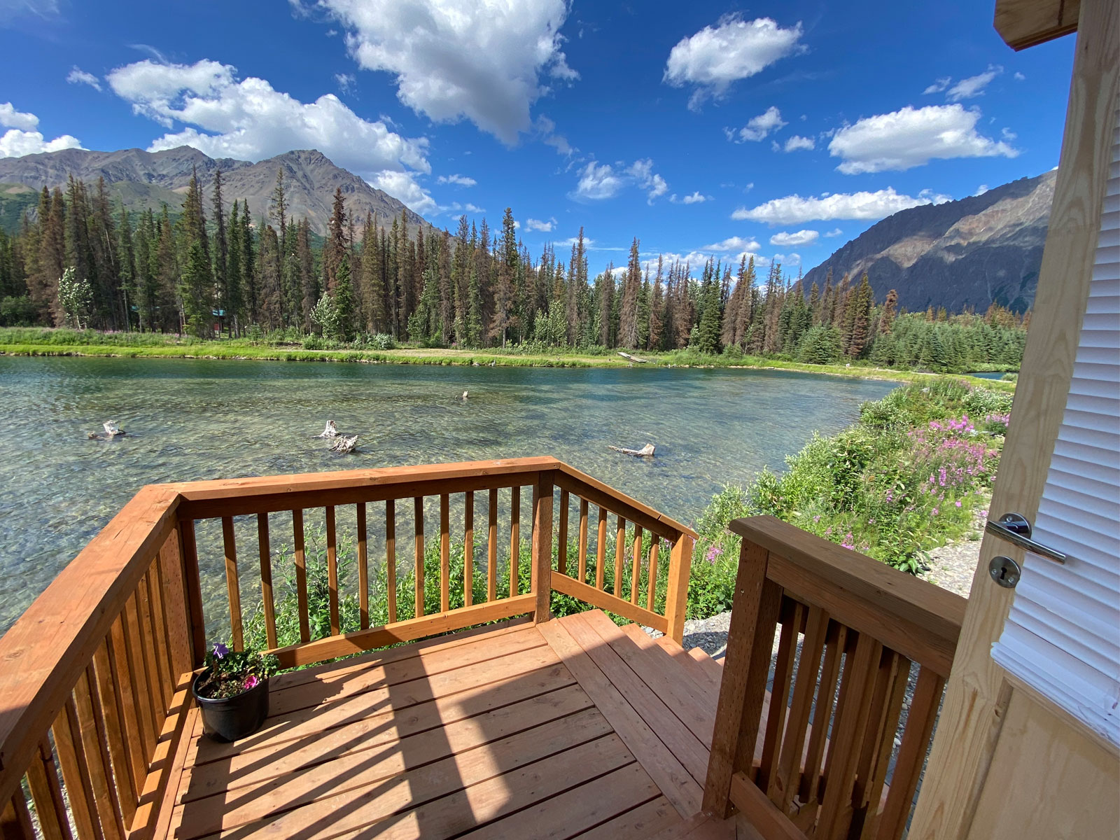 Deck view