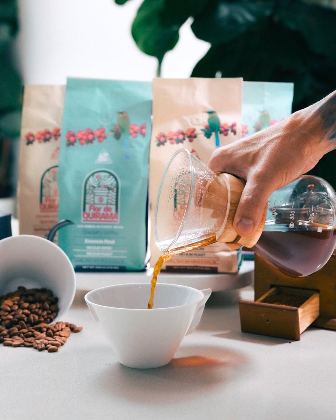 Café de especialidad colombiano