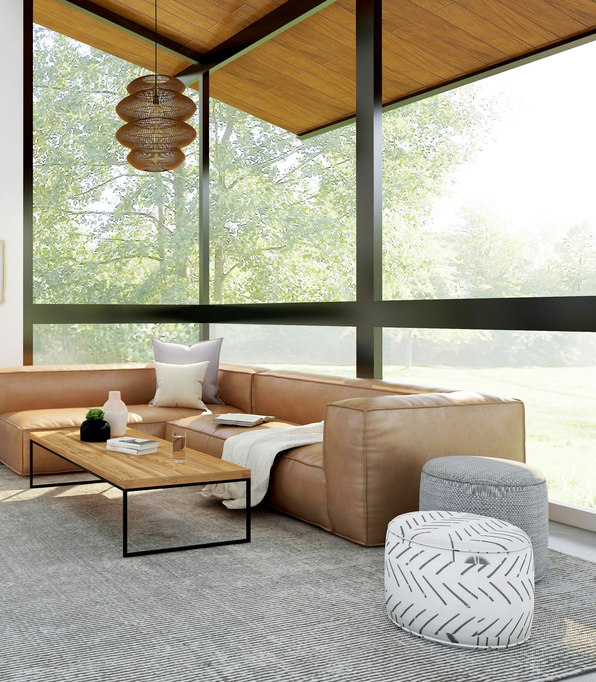 Modern Staged Home Living Room