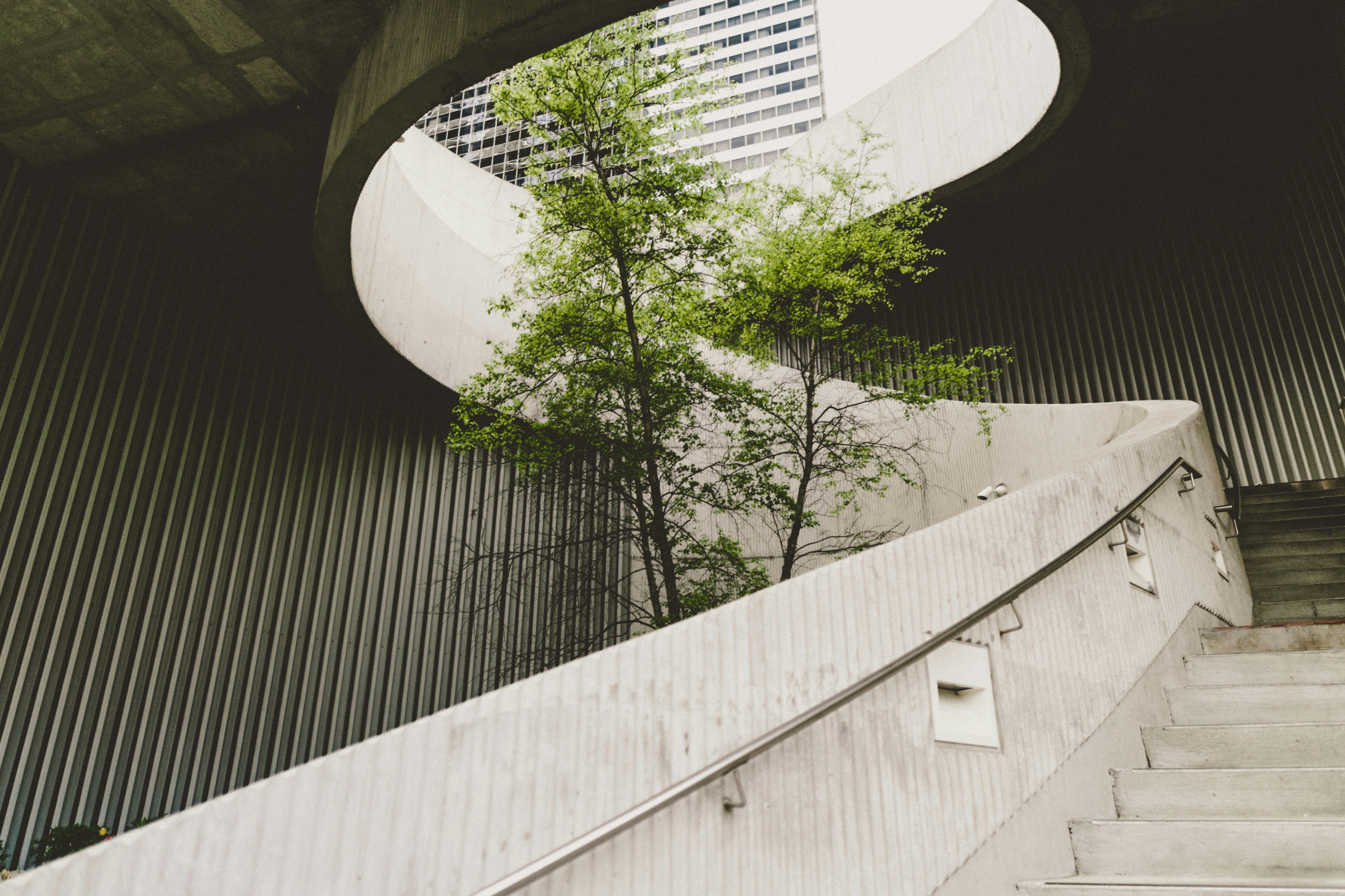 Sustainable modern building with green design features